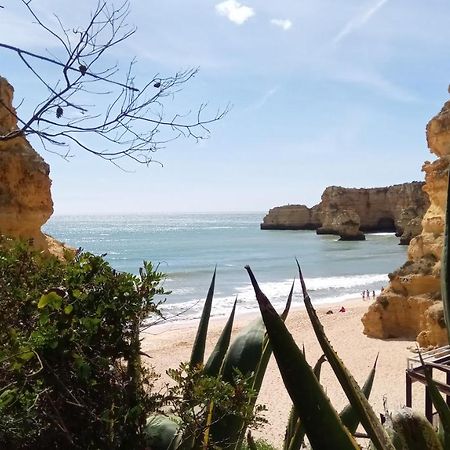 Albufeira Beach Apartment Eksteriør billede