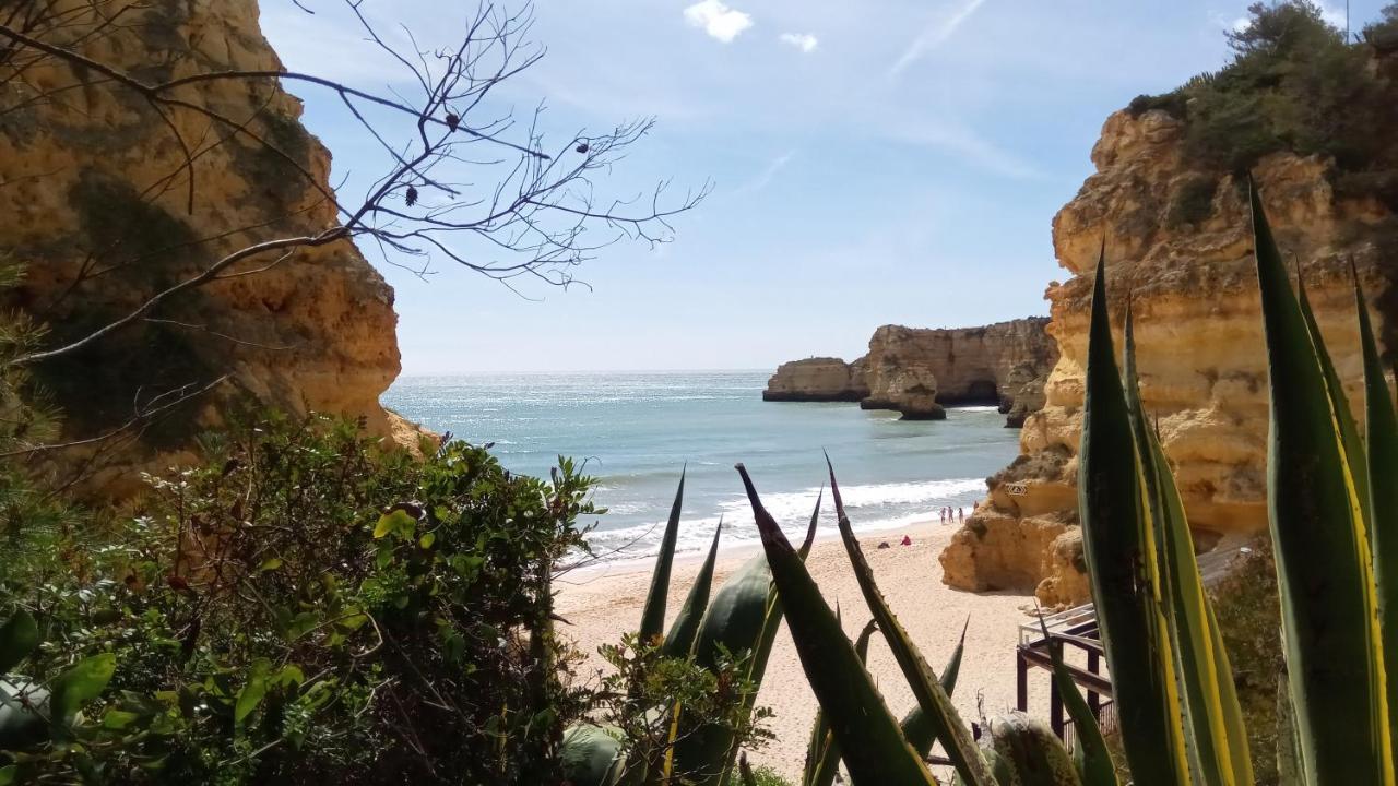 Albufeira Beach Apartment Eksteriør billede